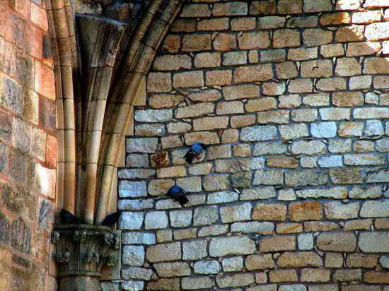 Mur de l’Abbaye de la Sauve